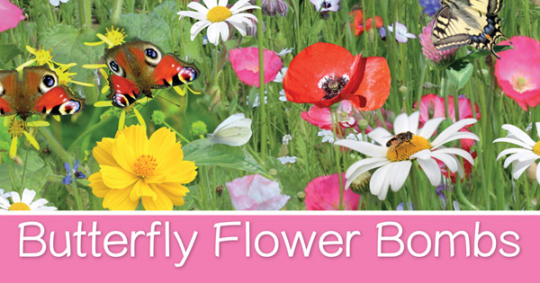 Butterfly Flower Bombs