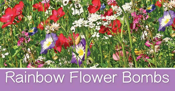 Rainbow Flower Bombs